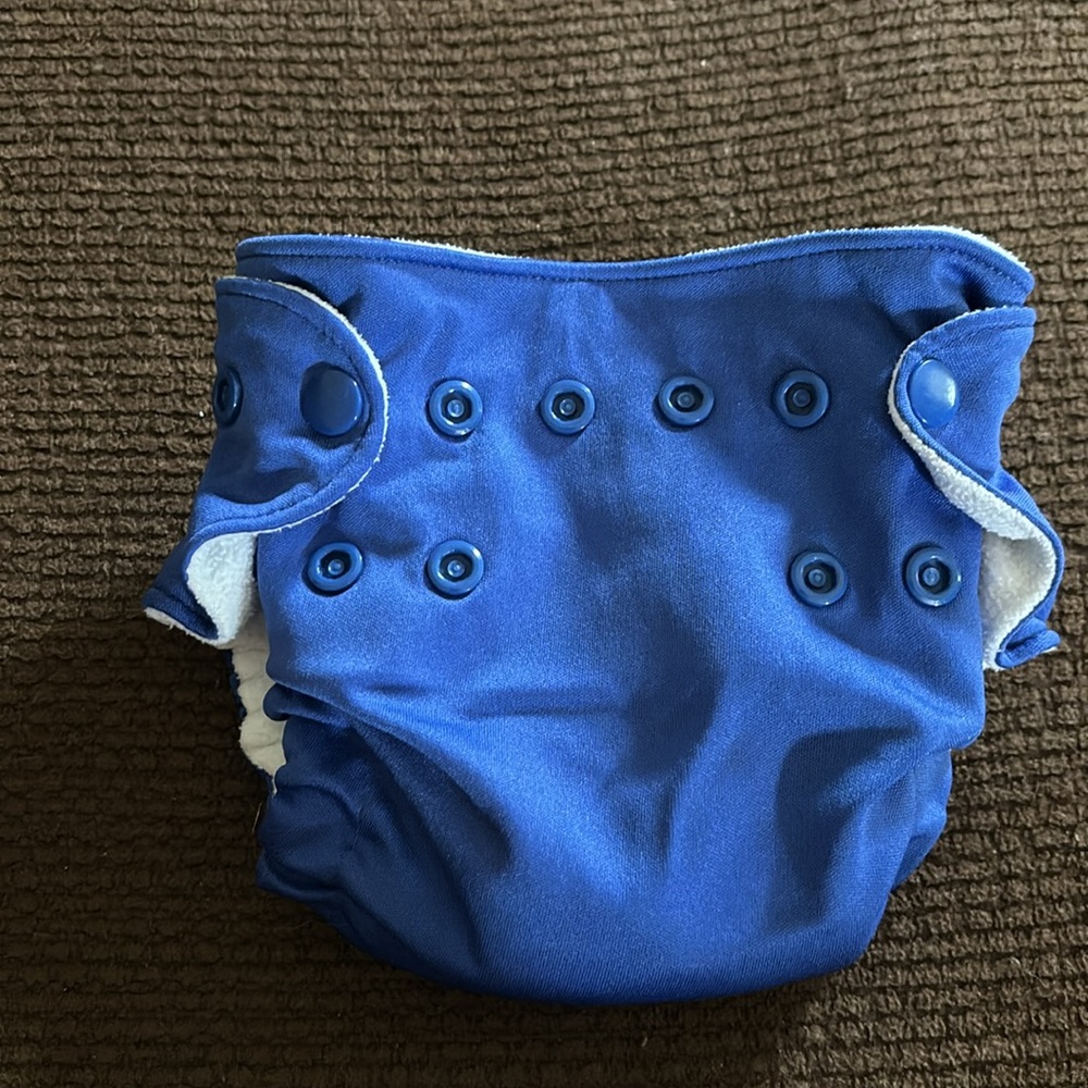 Fuzzibunz cloth diaper with insert